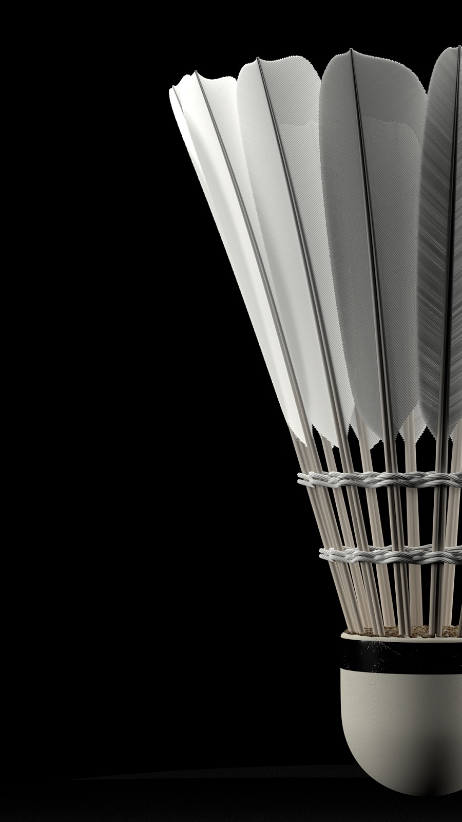 教练范加尔 教练范加尔