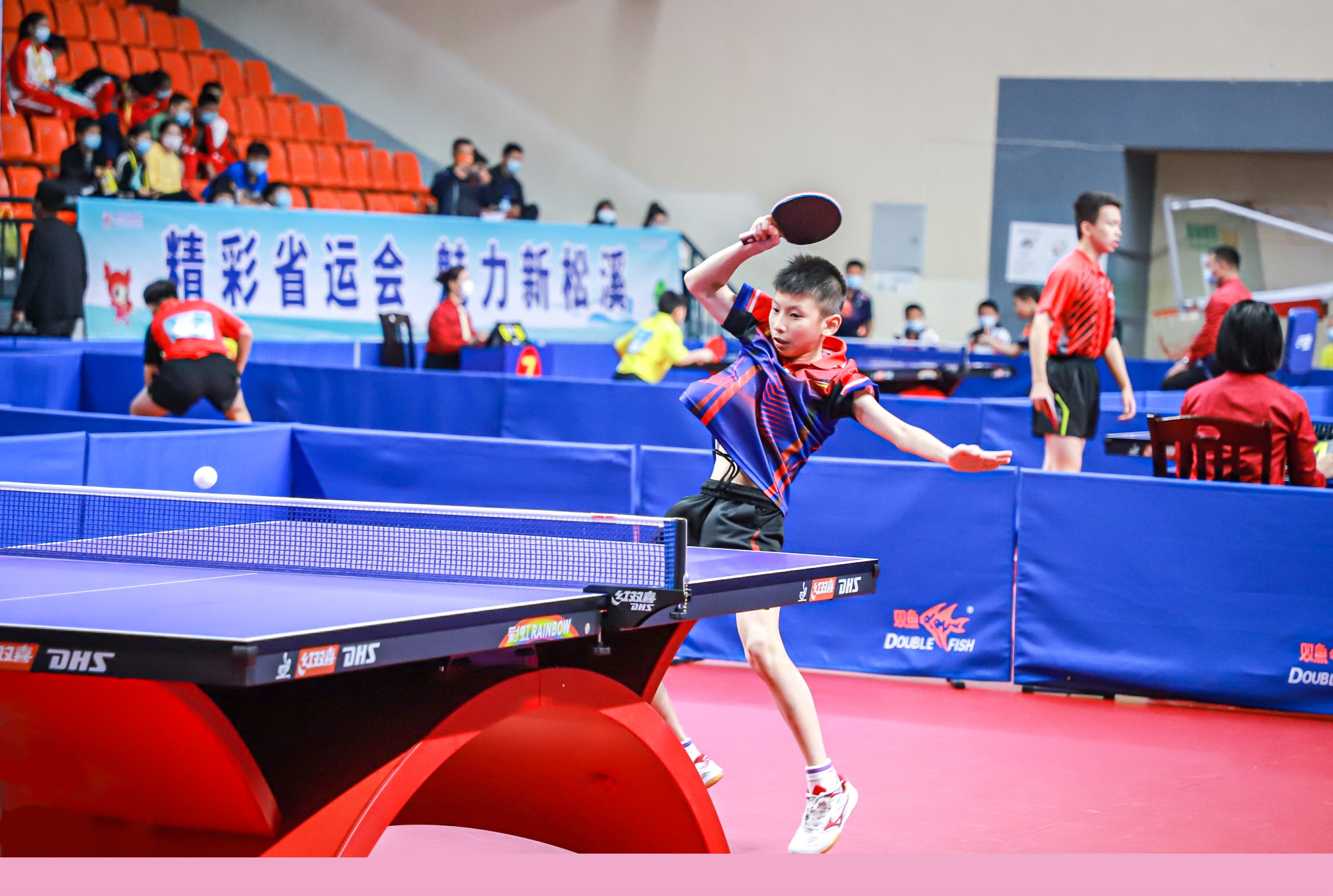 乒乓球运动 乒乓球运动